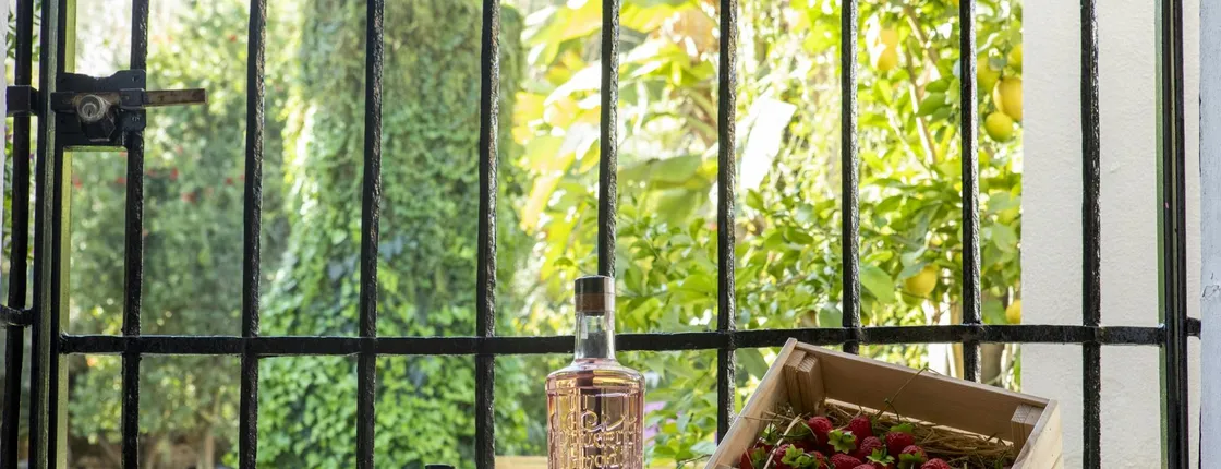 Destilería Puerto de Indias basic guided tour with gin tasting