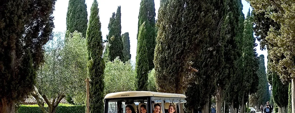 Rome Appian Way and catacombs tour by electric golf cart