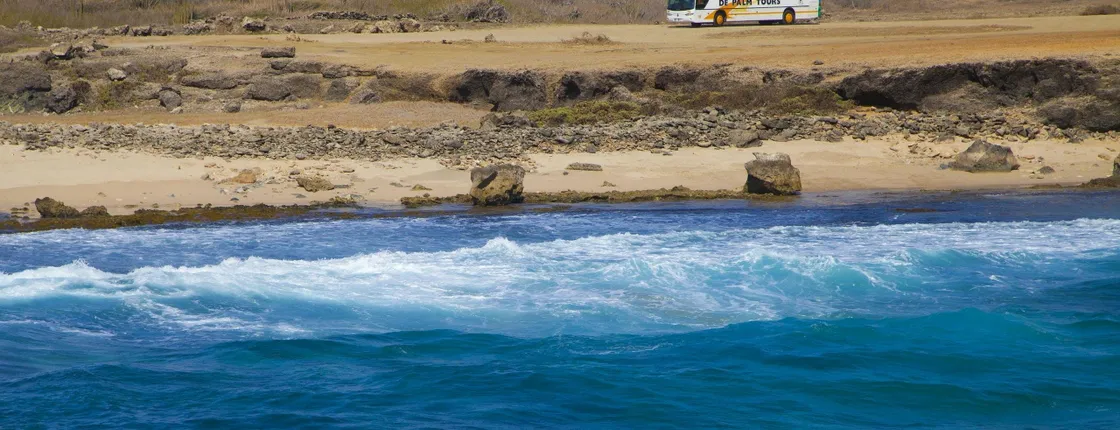 Best of Aruba full-day tour by bus