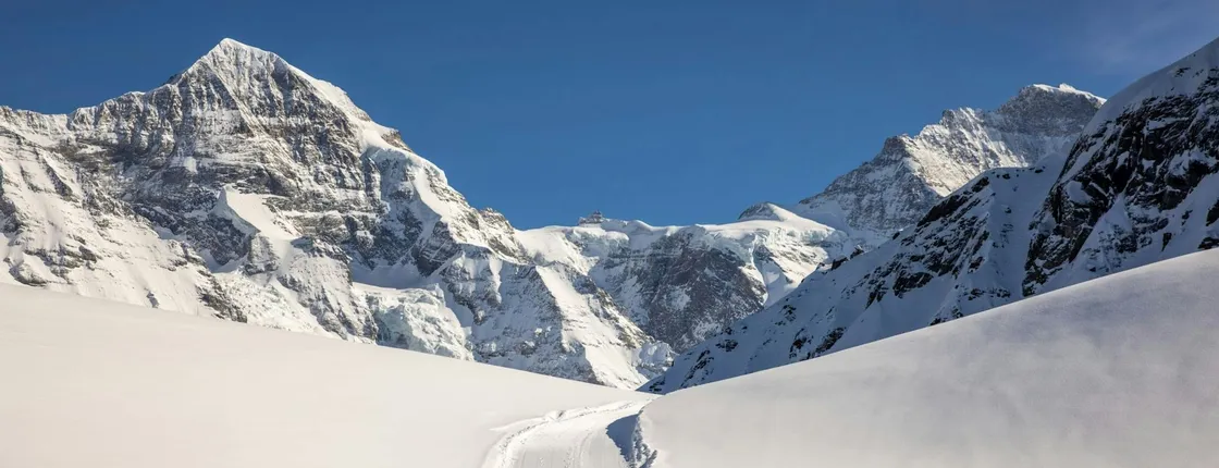 Sledging and Hiking Jungfrau Winter Travel Pass