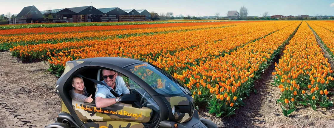 Lisse tulip fields self-drive tour for two people with audio guide