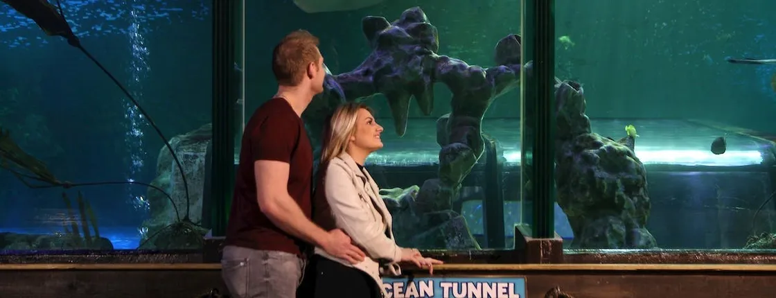 Sea life Blackpool entrance tickets