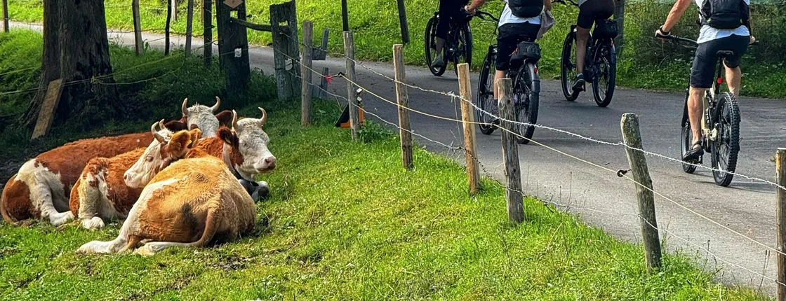 E-bike tour in Swiss Griesalp Valley from Interlaken