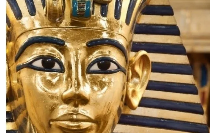 Turin Egyptian Museum entrance tickets