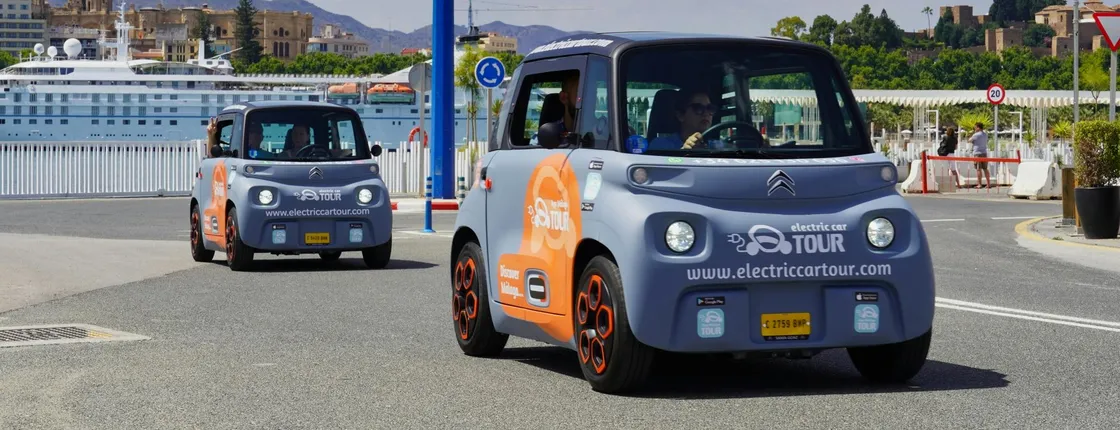 Malaga electric car night tour