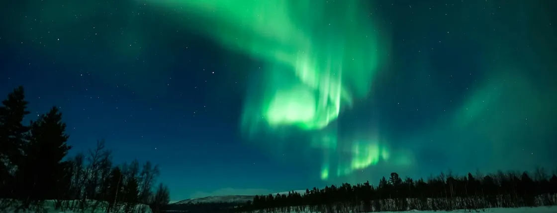 Northern Lights evening guided tour with reindeer encounter