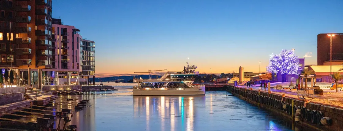 Picturesque dinner cruise in Oslo