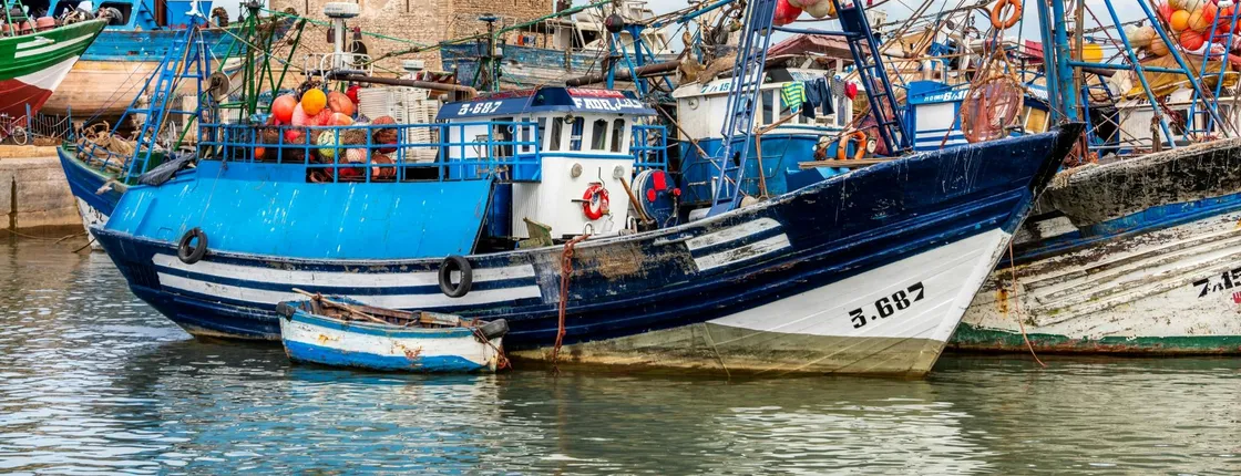 Essaouira medina and harbour tour with argan coop Visit