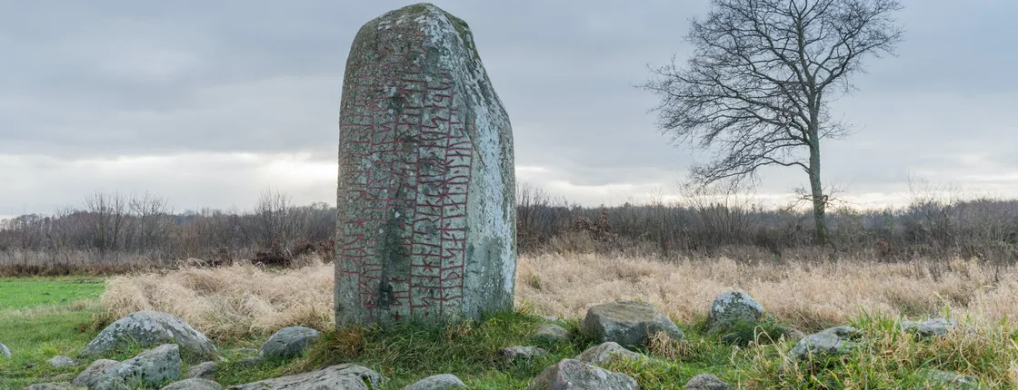 Private Iron Age history tour from Stockholm