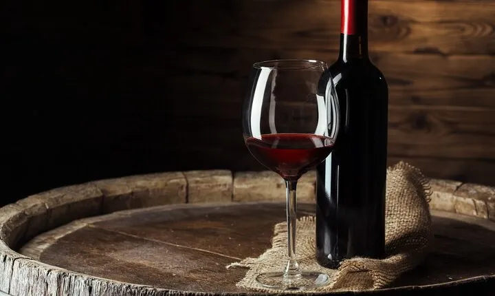 Wine Experience in farm vineyard & winery from Montecatini T.