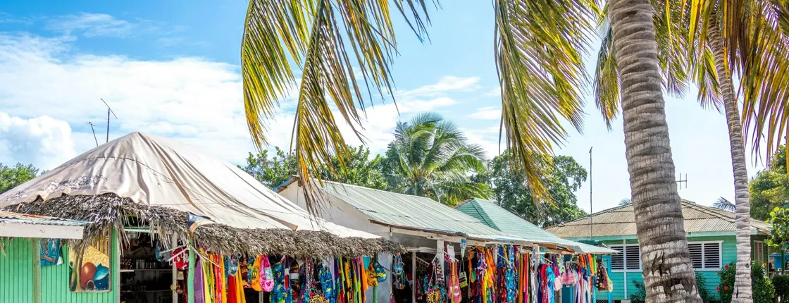 Mano Juan tour with turtle sanctuary visit, swim stop and lunch