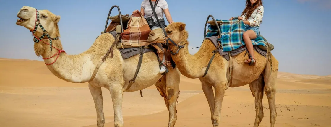 Full-Day Excursion To Paradise Valley And Sahara Dunes
