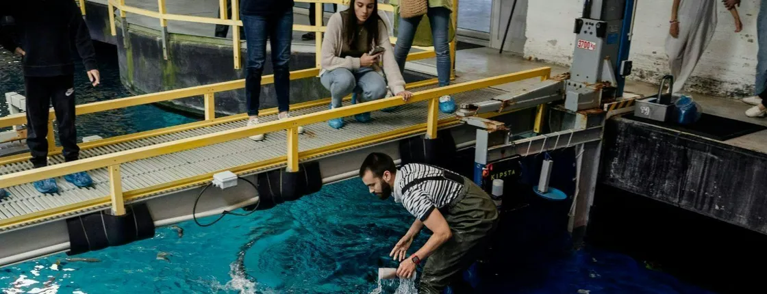 Behind-the-scenes guided tour at Oceanário de Lisboa