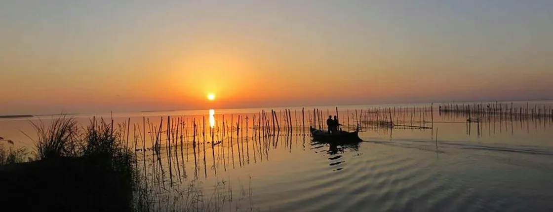 Albufera wildlife boat tour with meal included