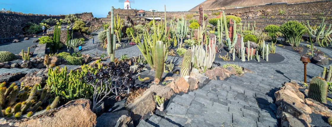 Lanzarote coast to coast tour