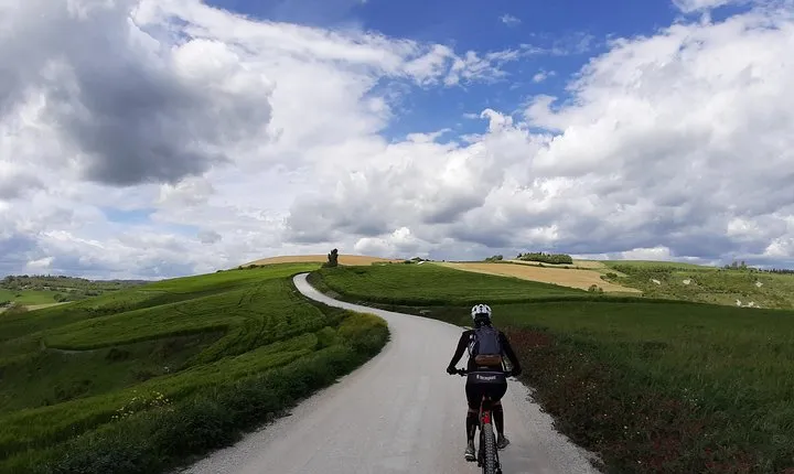 EBike tour with organic wine tasting