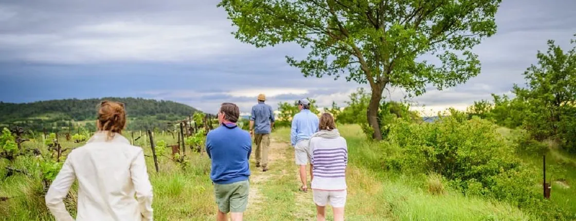 Foraging experience at the Luberon National Park