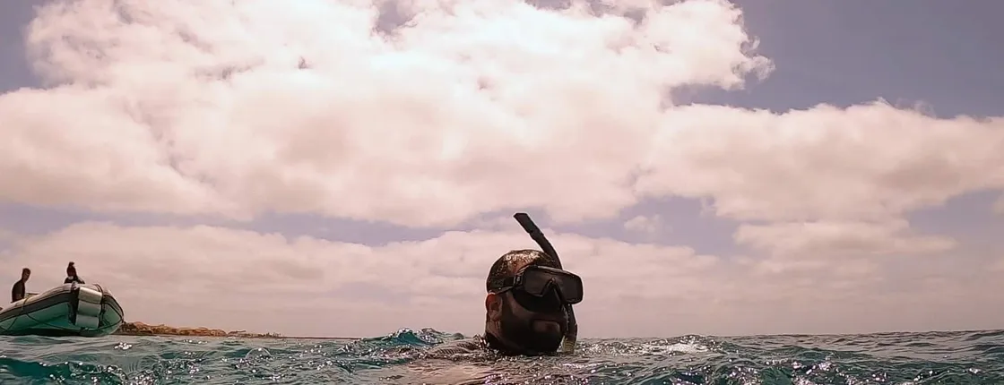 Cape Verde Snorkelling Tour from Sal