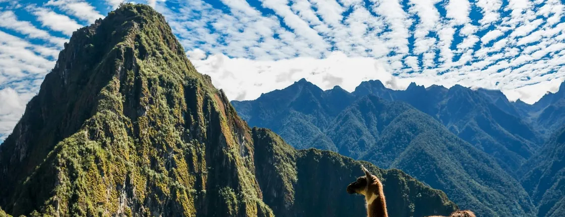 Guided tour of Machu Picchu citadel including entrance