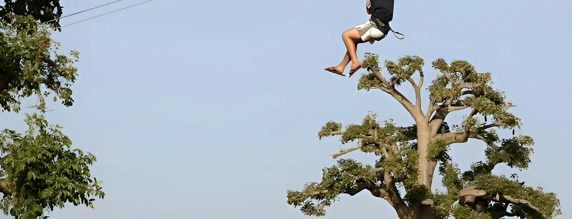 Accrobaobab adventure from Saly