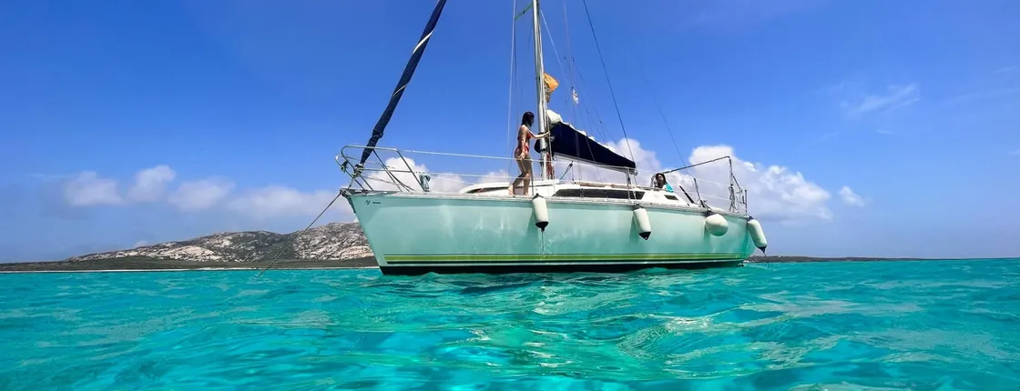 Asinara full day sailboat excursion from Stintino