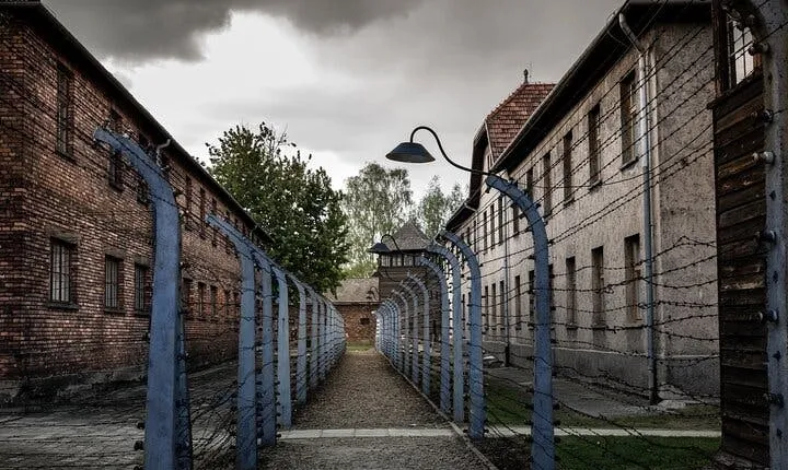 Auschwitz-Birkenau and Wieliczka Salt Mine one-day tour from Krakow