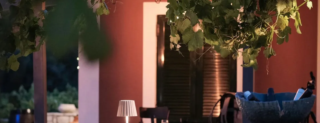 Zakynthos romantic candlelight dinner with wine tasting