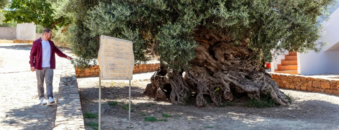 Full-day Crete wine-tasting and 4x4 off-road tour