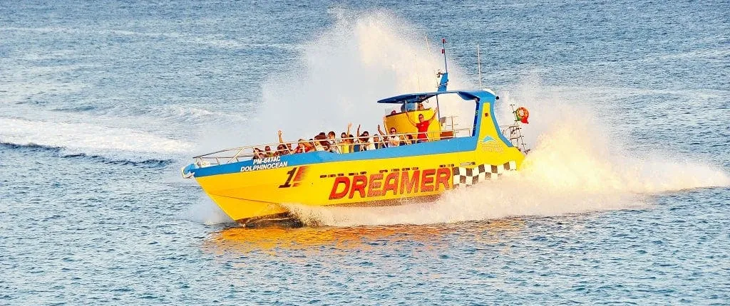 Dolphin-watching and sea cave boat ride with lunch – ticket only