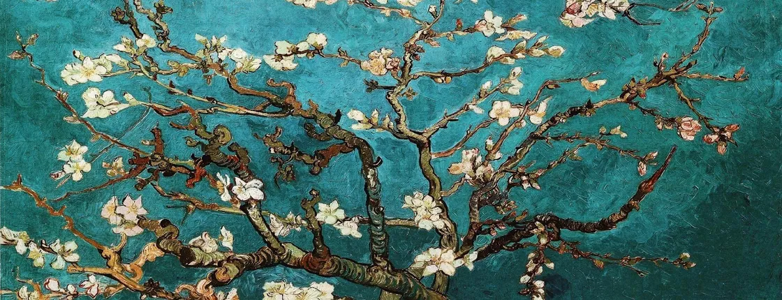 Van Gogh Museum Semi-Private Guided Tour with Reserved Entry