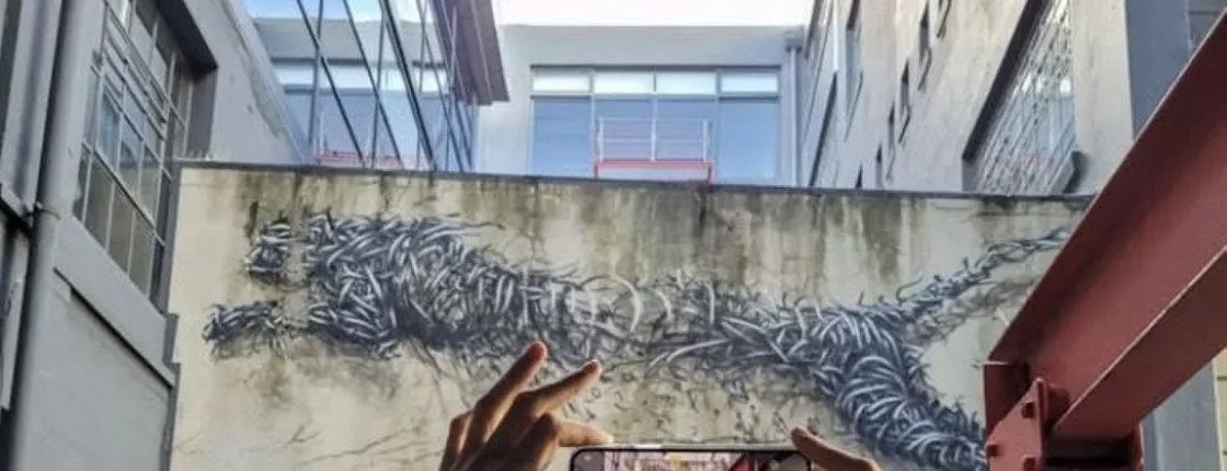 Cape Town street art private tour