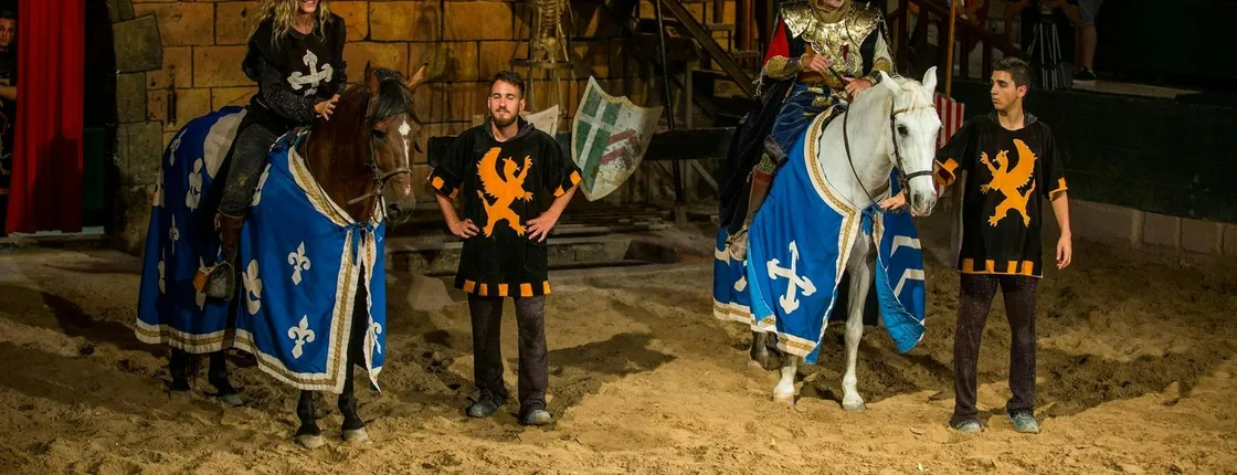 Dinner with Robin Hood themed show at Desafío Medieval