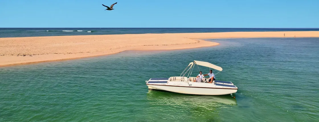 Birdwatching in Ria Formosa eco-friendly boat tour