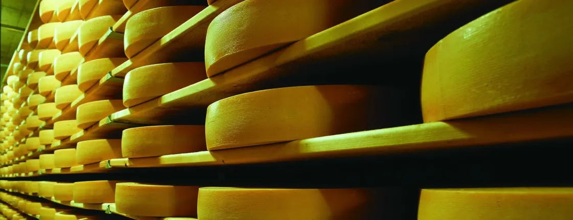 Gruyères, cheese museum and chocolate factory tour from Geneva by bus