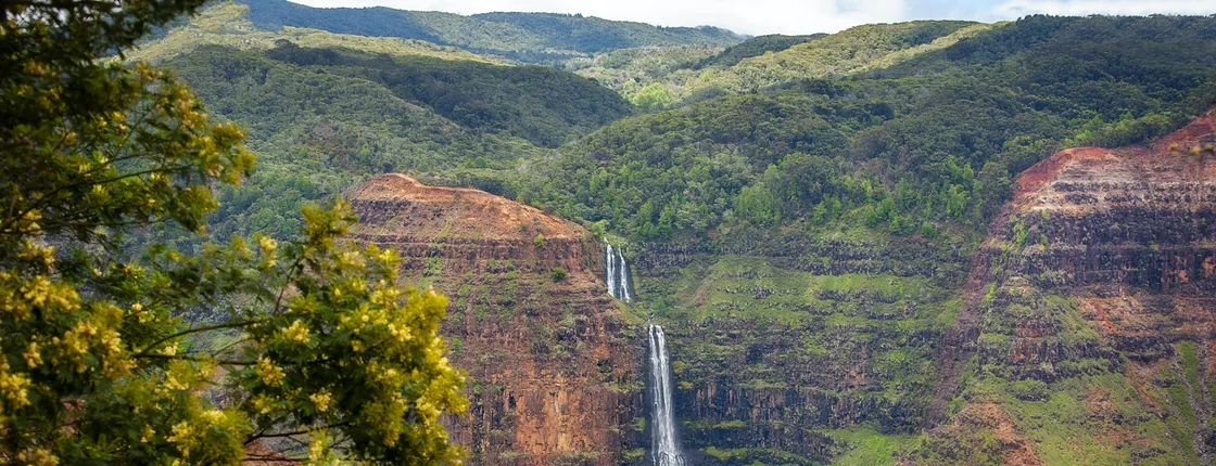 Waimea Canyon and Koke'e Adventure Tour