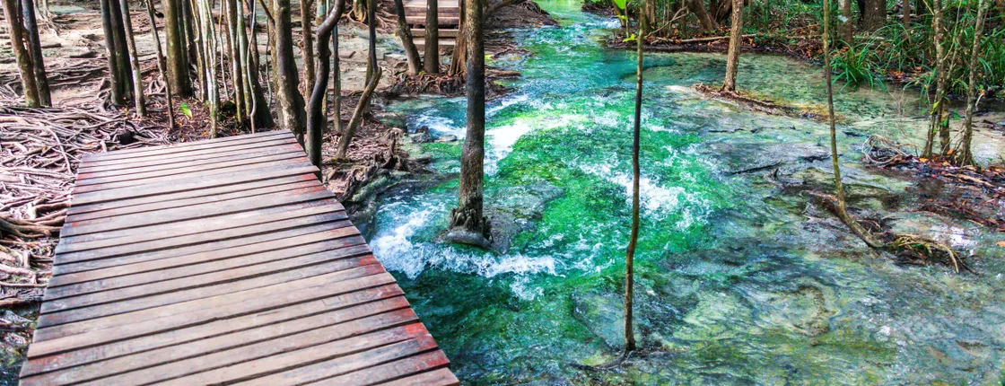 Hot Springs & Emerald Pool Tour