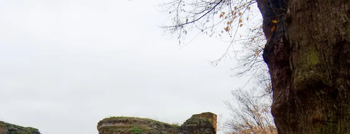Self-guided discovery walk in Düsseldorf’s Kaiserswerth