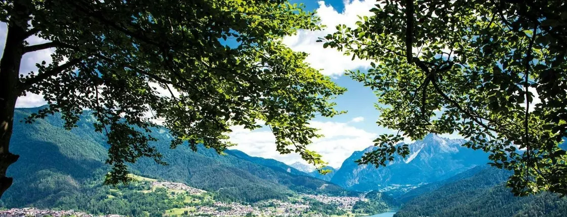 Dolomites full-day trip with Cortina and two lakes
