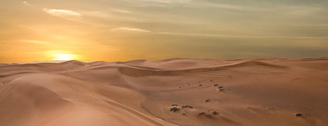 Dubai evening safari by Vintage G Class at Al Marmoom Oasis