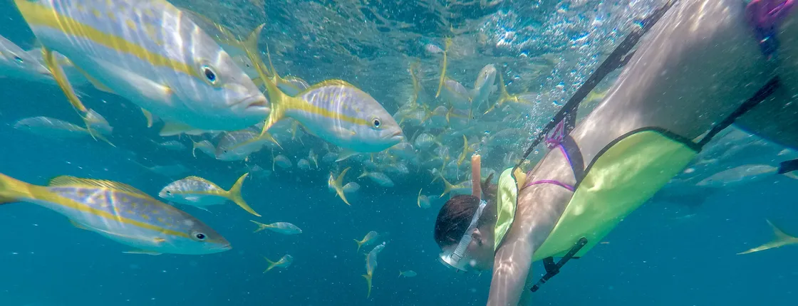 Key West morning reef snorkel