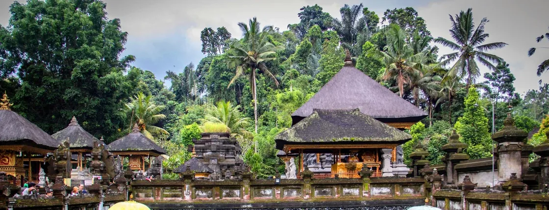 Ubud and Tampak Siring Private Tour