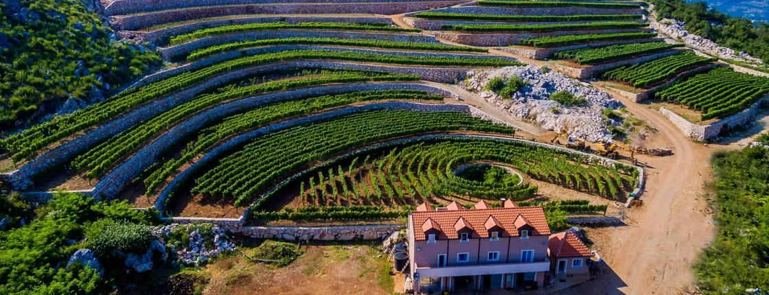 Winery guided tour with tasting at Lipovac winery in Građani