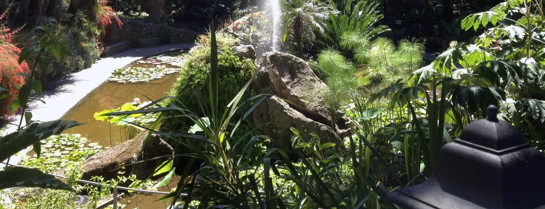 Ischia & La Mortella Gardens Tour