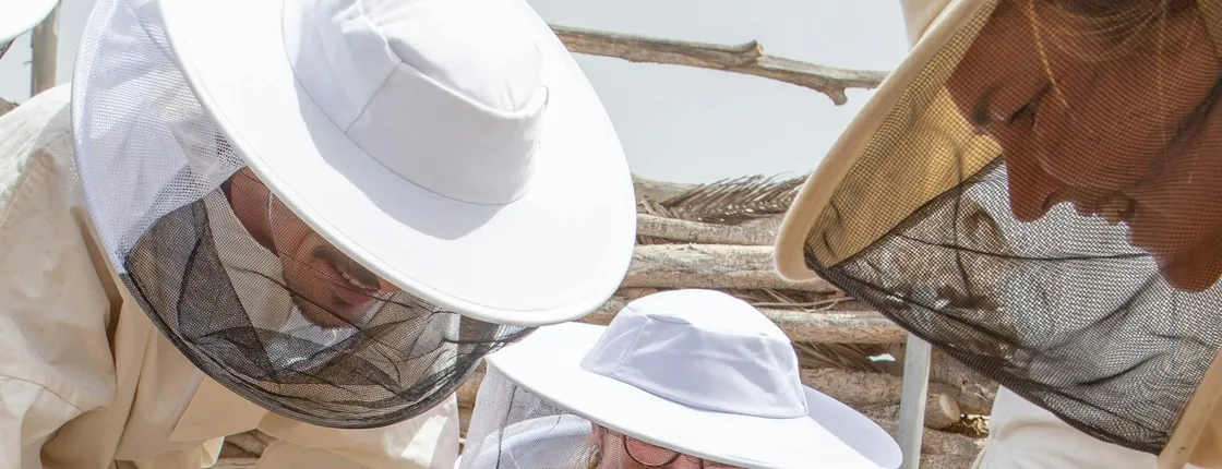 Beekeeping tour with honey tasting in Lanzarote