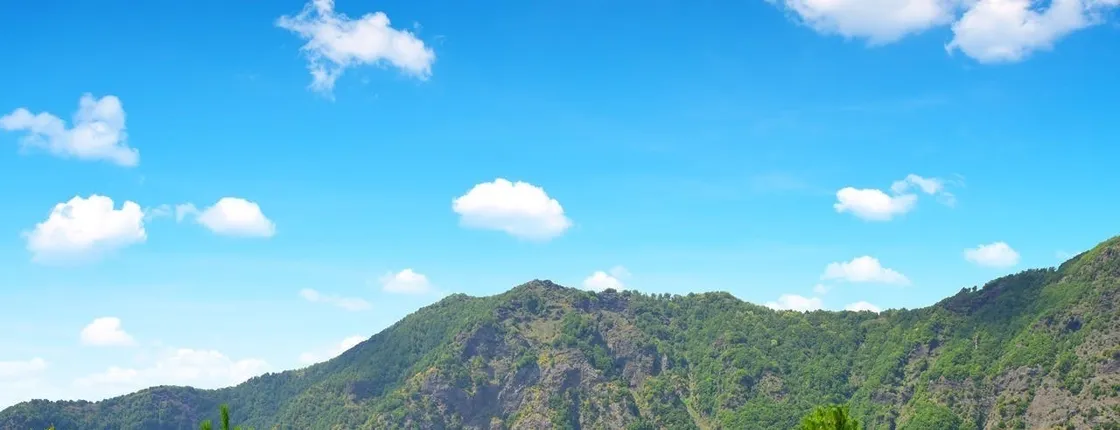 Vesuvius Easy Tour with Transfer from Naples