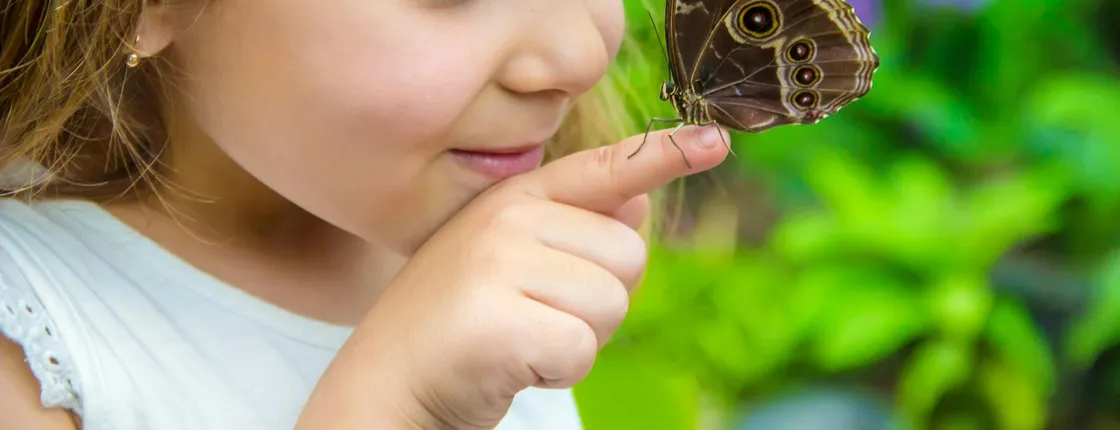 Antalya Butterfly World and Aquarium day out with transfers