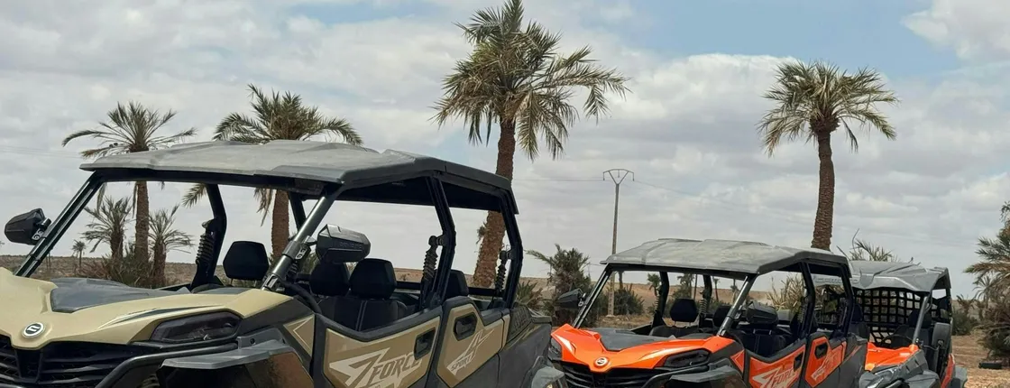 Marrakech palm grove off-road buggy adventure