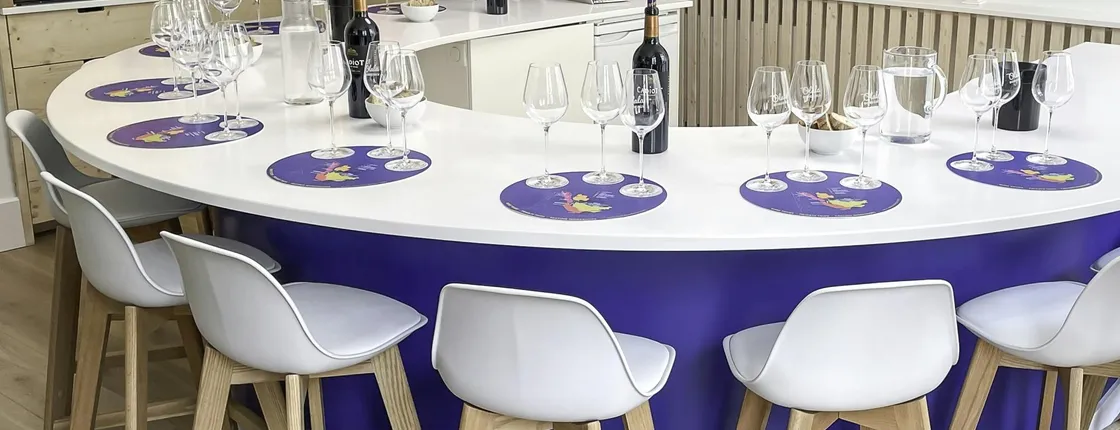 Bordeaux wines Masterclass tasting workshop
