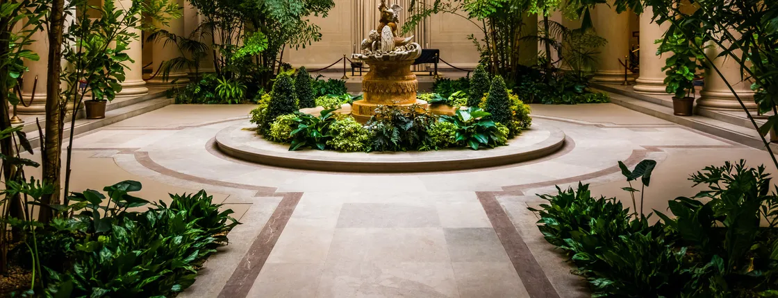 DC National Gallery of Art Museum semi-private tour