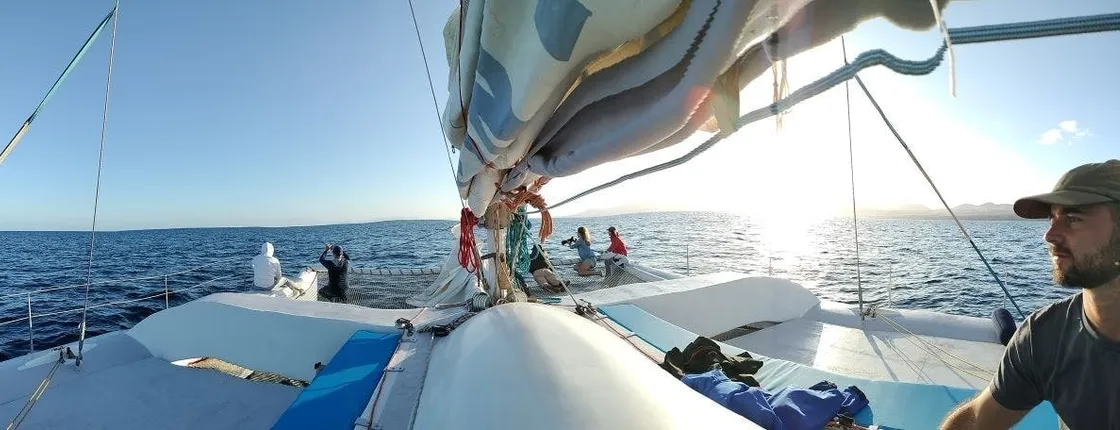 Lanzarote sunset cruise with dolphin watching